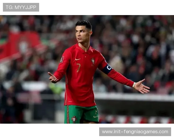 意大利葡萄牙需通过附加赛争夺世界杯名额